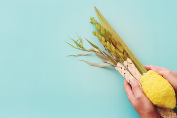 Jewish festival of Sukkot. Traditional symbols (The four species): Etrog (citron), lulav (palm branch), hadas (myrtle), arava (willow) © tomertu
