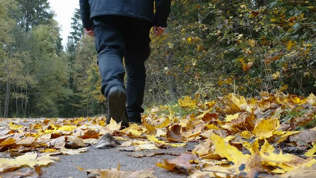 A man in black shoes and jacket walking on the ground filled with maple leaves in Estonia