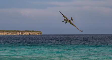  Views around the Caribbean island of Curacao