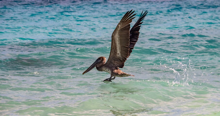  Views around the Caribbean island of Curacao