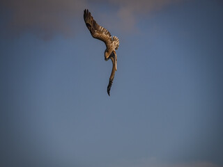  Views around the Caribbean island of Curacao