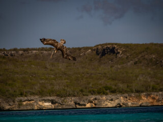  Views around the Caribbean island of Curacao