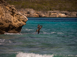  Views around the Caribbean island of Curacao