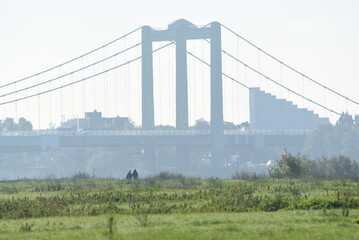Köln am Rhein, Rodenkirchen