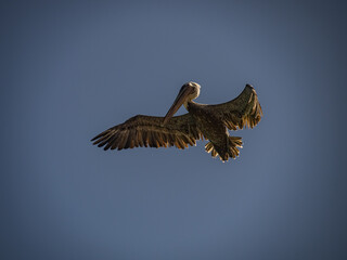  Views around the Caribbean island of Curacao