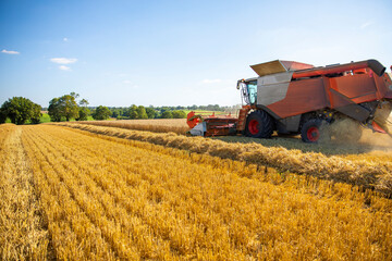 Obraz premium Moissonneuse dans les champs de blé en train de récolter les céréales en été.