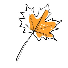 Maple leaf autumn orange doodles on a white background