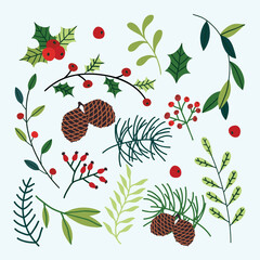 Winter plants. Floral Christmas set for greeting cards and invitations. 