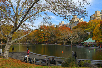 Conservatory Water, pond located in natural hollow within Central Park in Manhattan, New York City. Picturesque autumn