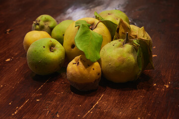 Group of ripe quince (Cydonia Oblonga) fruits, picked in the late fall ready to be used as an ingredient. Studio close up