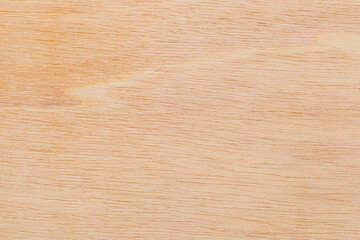 Fototapeta premium Light rough textured cut surface of an African tree. Wood background or blank for design