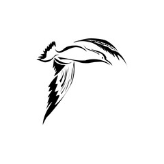 seagull logo icon designs vector