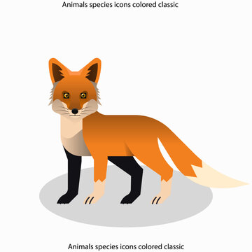 Animals species icons colored classic flat sketch