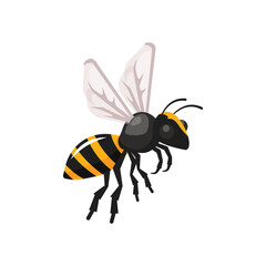 Bee vector illustration, bee flat icon