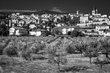 Magic of Spello in black and white. Umbria