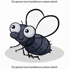 Fly species icons handdrawn cartoon sketch