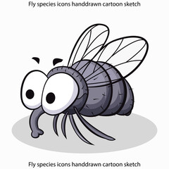 Fly species icons handdrawn cartoon sketch