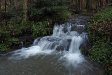 Bach im  Naturpark Schwäbisch-Fränkischer Wald