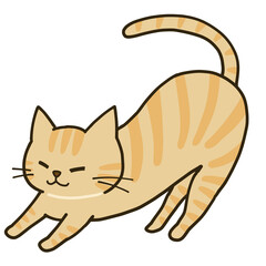 伸びをするシンプルな茶トラ猫
