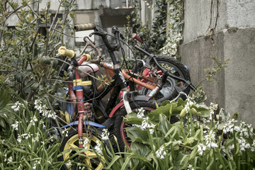 Bicicletas de criança abandonadas na vegetação de bairro obscuro