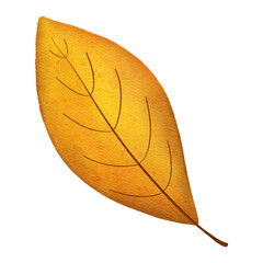 Autumn Leave Watercolor Clipart