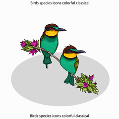 Birds species icons colorful classical design