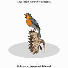 Birds species icons colorful classical design