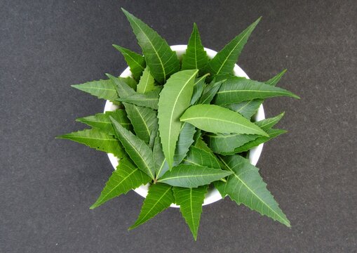 Neem leaves in a bowl top view 