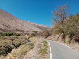 The Huasco Valley is the valley where the Huasco River flows. It is located in the province of...