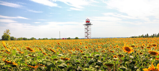 Weather radar station. Sunflower field. Agriculture landscape
