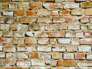 Old destroyed brick wall with red sprouts as a background