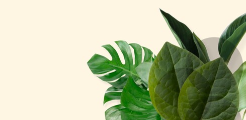 banners set with green tropical leaves on cream background. Exotic botanical design for cosmetics, spa, perfume, beauty salon, travel agency, florist shop. Best as wedding invitation cards