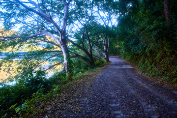 Fototapeta na wymiar paved road with trees around and beautiful lake, in santa maria del oro nayarit 