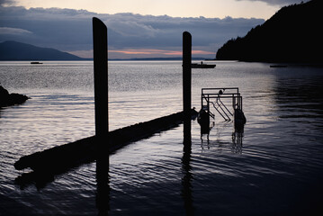 Sunset at Taylor Shellfish Farm Chuckanut Drive Washington
