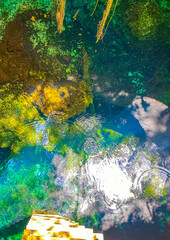 Blue turquoise water limestone cave sinkhole cenote Tajma ha Mexico.