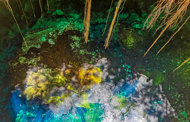 Blue turquoise water limestone cave sinkhole cenote Tajma ha Mexico.