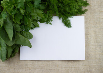 Different culinary greens: dill, parsley, spinach and white sheet of paper with place for your text on a sackcloth