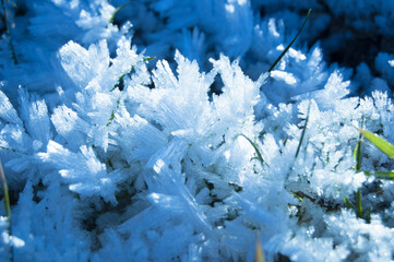 Raureif, Eis, Eiskristalle in gefrorener Wiese im Winter