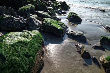 Kamienie pokryte zielenią nad wybrzeżem.
