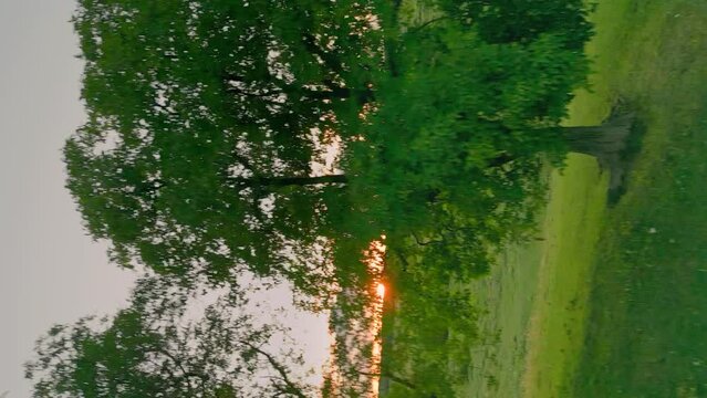 vertical shot of trees and lawn against a sunset sky from a bird's eye view
