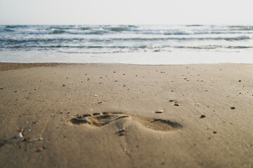 footprint on beach sand near sea, sunset, selective focus