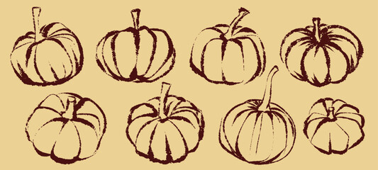 Pumpkin sketch. Textured brush drawing