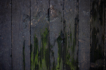 Old wood texture. Wooden background.