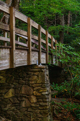Fototapeta na wymiar Wooden foot path bridge in the forest