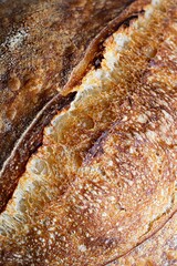 Fresh homemade sourdough bread with whole grain flour. Healthy food, banner.
