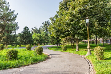 vegetation of Amir Temur Square in Tashkent, Uzbekistan