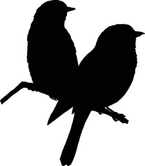 silhouette of  birds couple on a branch vector 