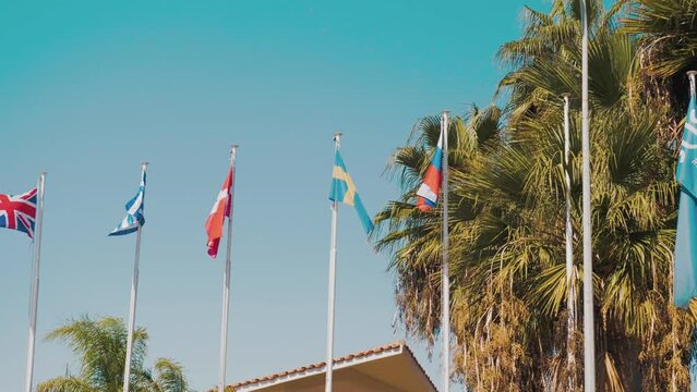 Flags of different countries on the background of palm trees
