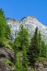 Fototapeta na wymiar The mountains and woods of the natural park Alpe veglia - alpe devero, during a sunny day, near the town of Baceno, Italy - June 2022.