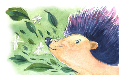 Muzzle of porcupine hedgehog blue needles. Summer grass leaves. Sniffing dragonflys air aromas . Hand painted right bottom corner watercolor card illustration. Colorful postcard sketchy drawing - 534602499